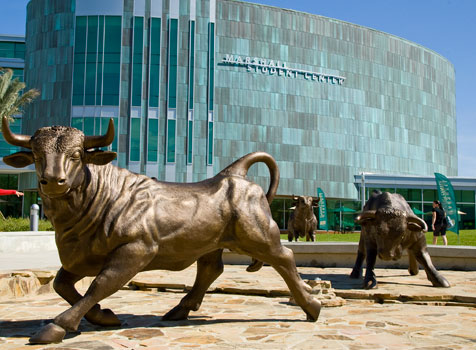 The bull statues outside the Marshall Student Center